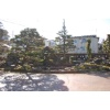 Ein schöner kleiner japanischer Garten